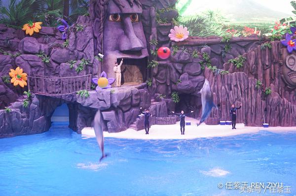 长隆海洋王国亲子游路线,一天游珠海长隆海洋王国亲子攻略