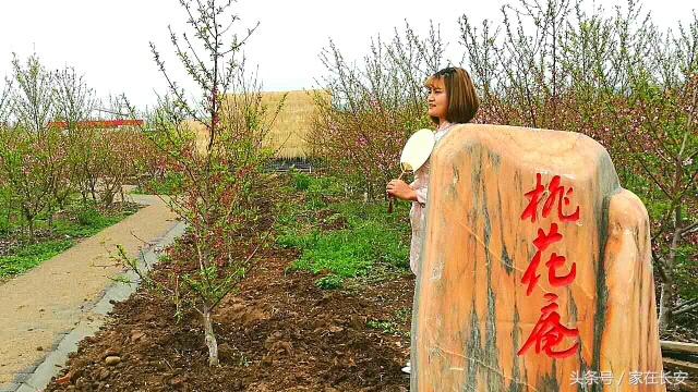 西安桃花花海旅游节,西安长安桃花园景区