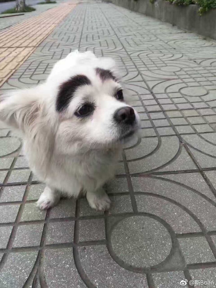 男子骑电瓶车失控撞上路边小哥,男子骑电动车撞上路边停放车受伤