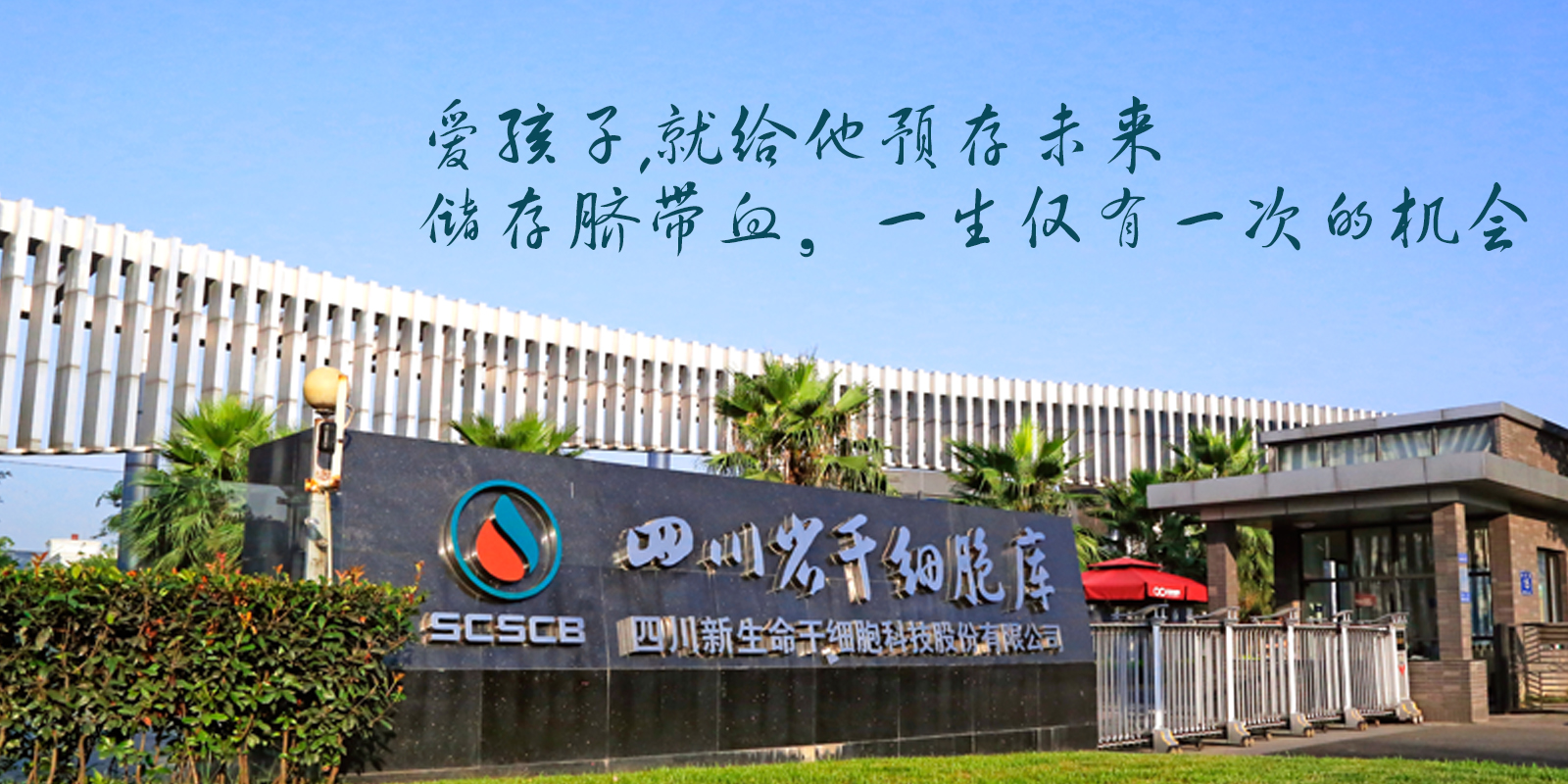 曾经有过胎停情况想再次怀孕要注意什么？