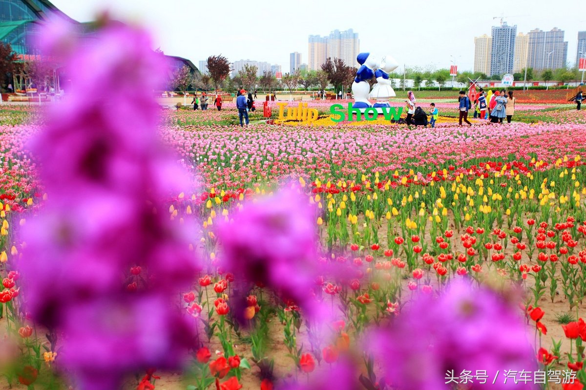 泾阳县城一日游,泾阳县一日游的绝佳去处
