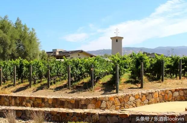 大师班葡萄酒,葡萄酒大师班