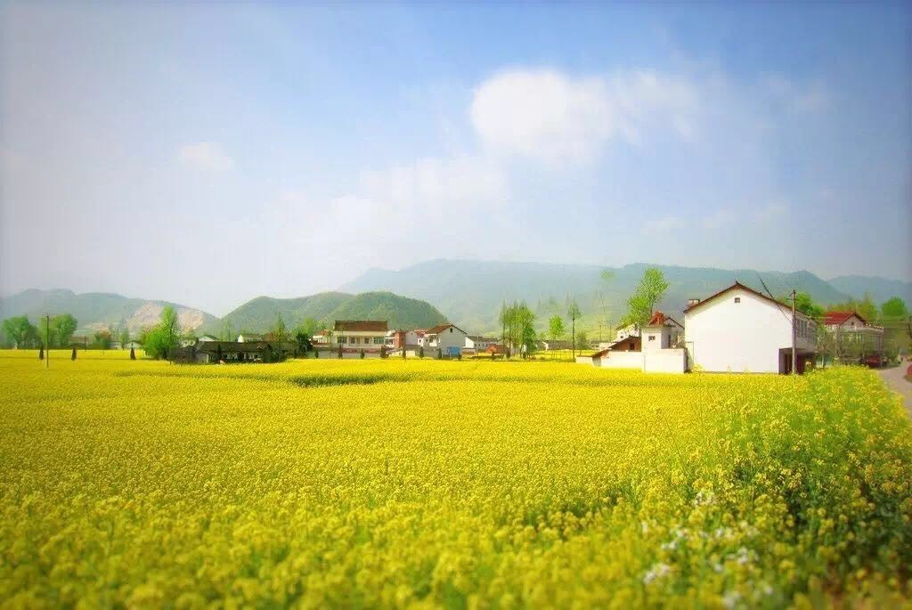 住金山区的感受,在金山居住的体验