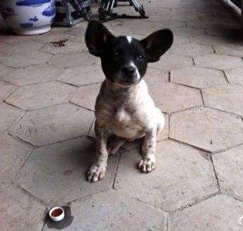 龙门镖局各个人物结局,还记得这部电影吗