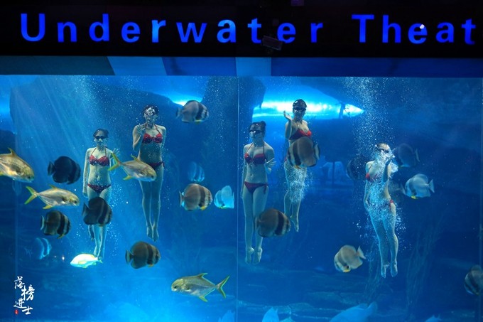 泉城欧乐堡动物王国夏天怎么去,泉城欧乐堡梦幻世界星空过山车