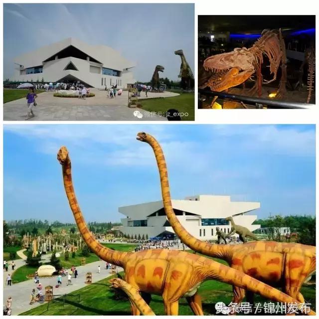 锦州世博园免费景区,锦州世博园其他入口