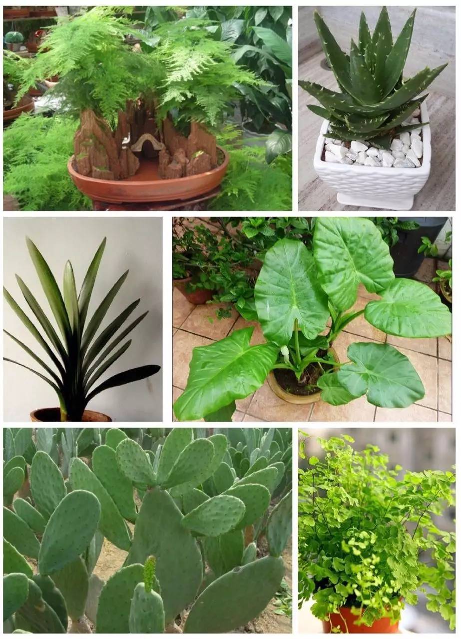 全天开窗通风甲醛会超标吗,去甲醛如何开窗通风最有效