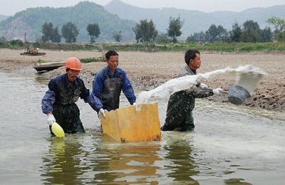 龙虾养殖技术成本与利润,龙虾如何养殖才能增加利润