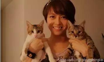 古牧真的很难养吗,古牧被遗弃了