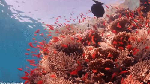 五一昆明商场活动,昆明五一哪些商场搞活动