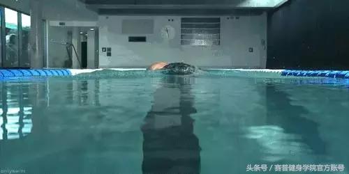 全球公认减脂运动排行榜前十名,全球公认减脂动作多久有效果