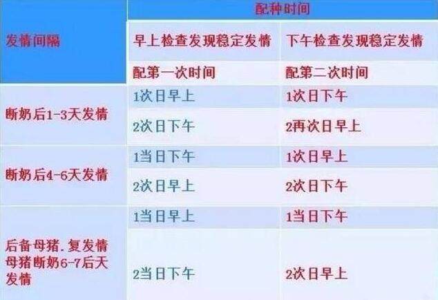 猪人工授精基本操作要点,生猪人工授精简易操作规程