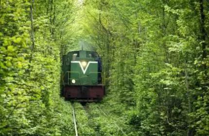 口腔医院渠道运营体系,口腔医院线上经营模式