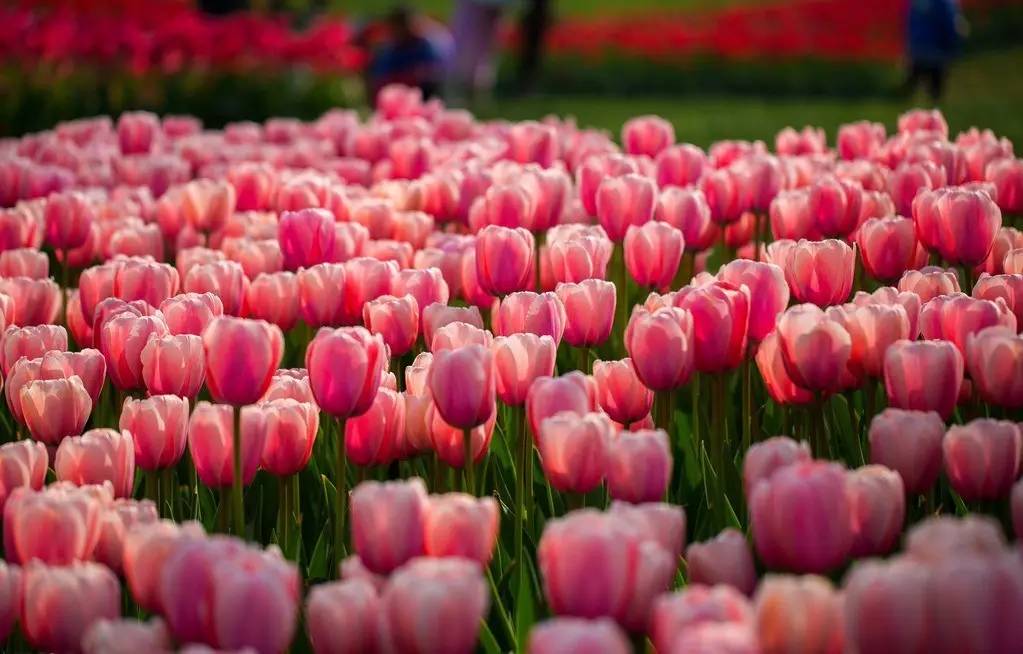 河北创意婚纱照攻略,河北拍婚纱照推荐去的地方