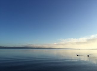 新西兰全景巴士,那些自驾游来不及知道的事儿(北岛+南岛超多公共交通实用信息各类购票详细教程InterCity)