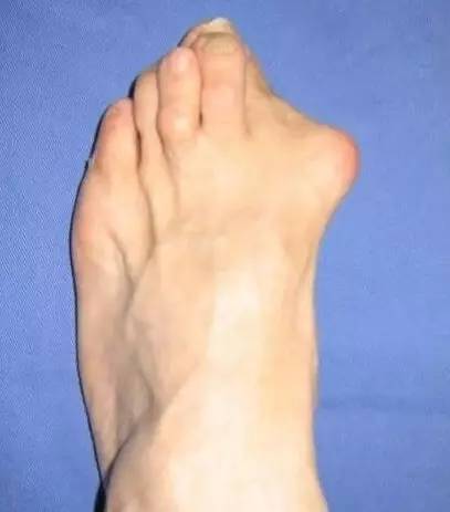 金姐吐槽一针见血完整版,金姐毒舌点评