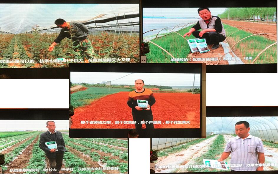 优美达化肥,优美达平台投资流程