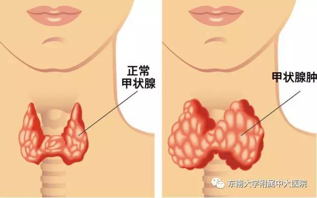 致命危机的化解,致命危机深度解析