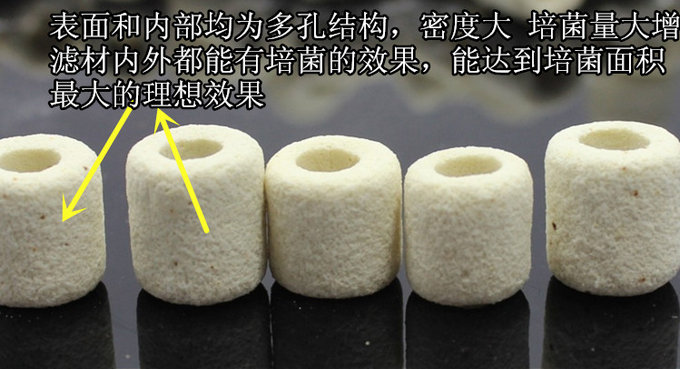 鱼缸水质清澈需要加硝化细菌吗,鱼缸水质浑浊加硝化细菌