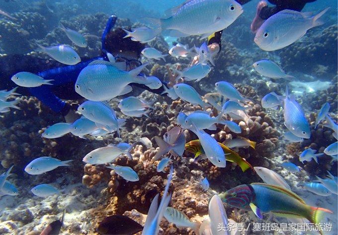 塞班岛一生回忆,来塞班岛做一个美梦