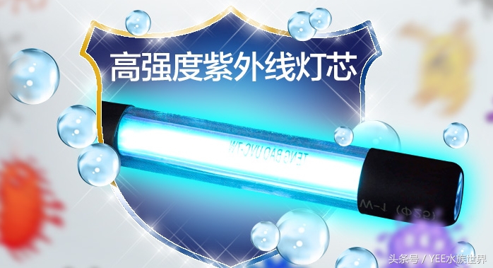 硝化细菌N种死法：饿死、憋死、药死、干死、照射死等等