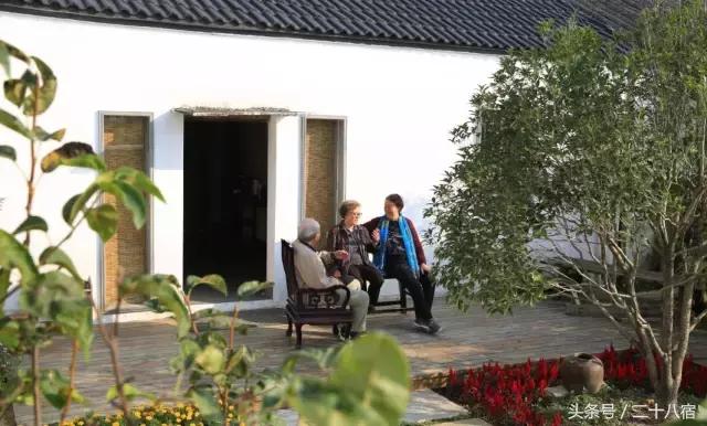 乡根东林渡,乡根东林渡露营