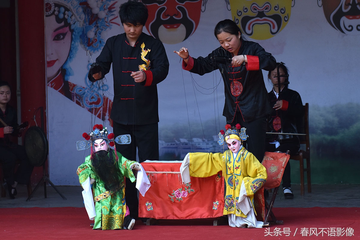 冬天来合阳，赏万顷芦荡，候鸟齐飞（组图）