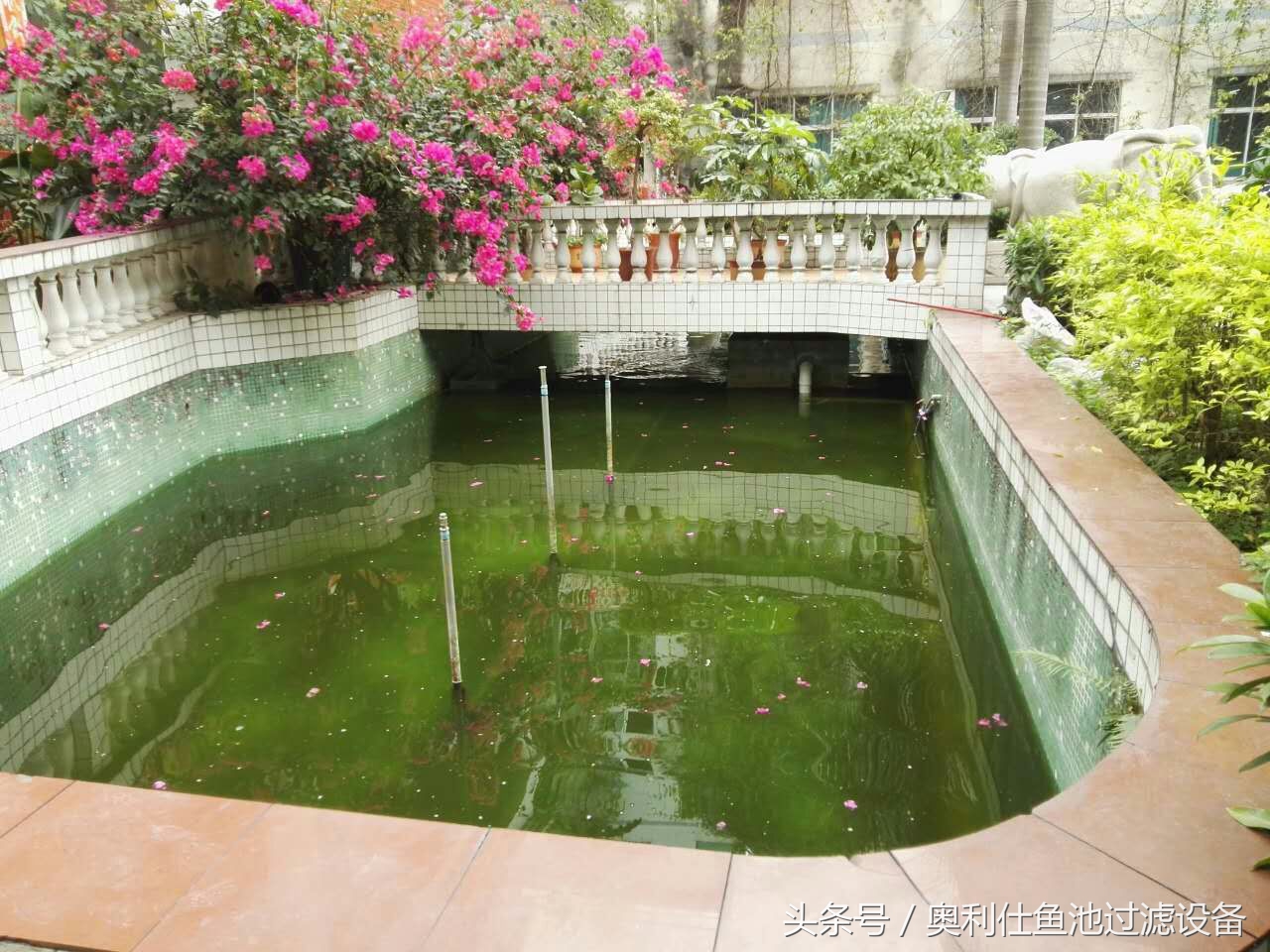 22立方鱼池价格一览表,36平方鱼池建造价格一览表