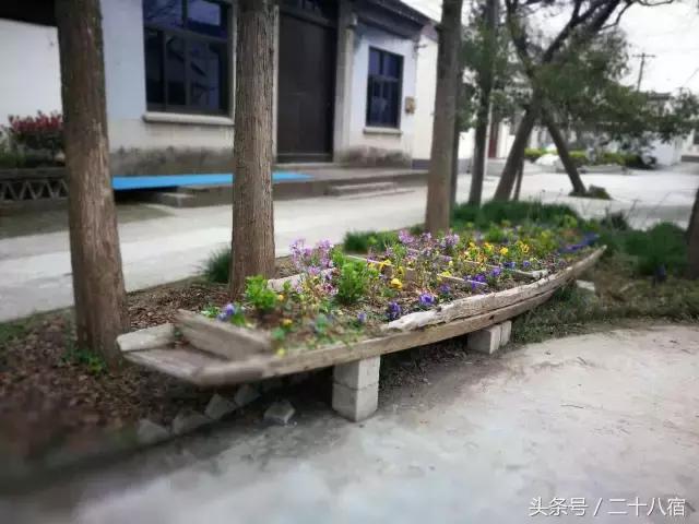 乡根东林渡,乡根东林渡露营