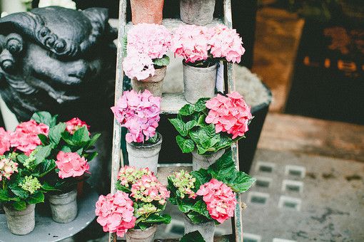 我怎么能倒下我身后空无一人图片,我怎么能倒下身后空无一人壁纸