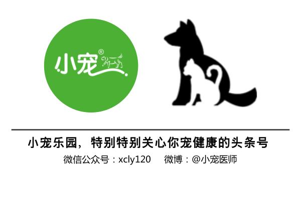 古牧真的很难养吗,古牧被遗弃了