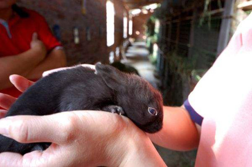 决定创业该怎么做,决定试着自己创业