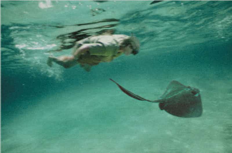 15个恐怖离奇的死亡事件电影剧情也不过如此