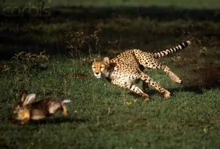 官方通报20个“不合理低价游”违法案例你中枪没？