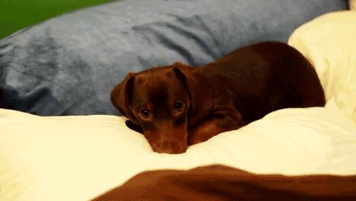 隐形眼镜液洗化妆刷,隐形眼镜水洗化妆刷