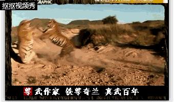 太极拳和心意把拳哪个更厉害,八卦掌比太极拳厉害