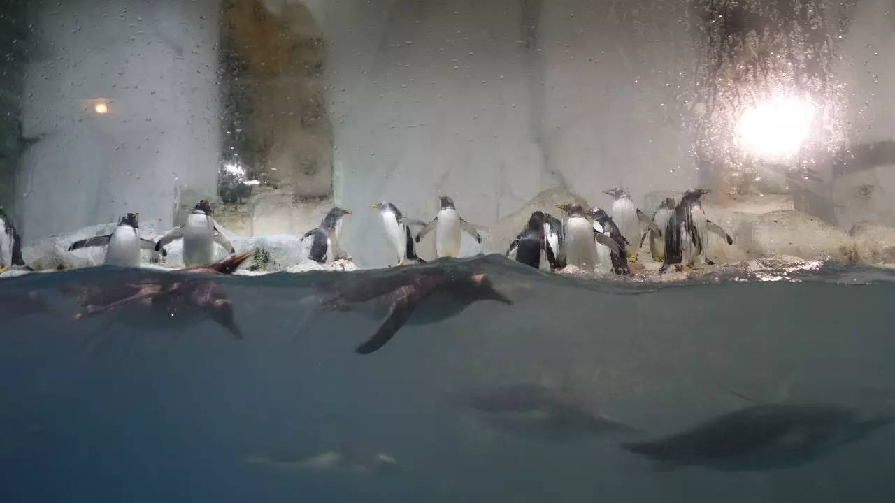 大连东北路有什么好玩的,大连哪里的海岸好玩