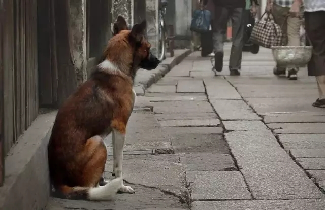 健康养生书单，99本书让你活得长，还要活得好！