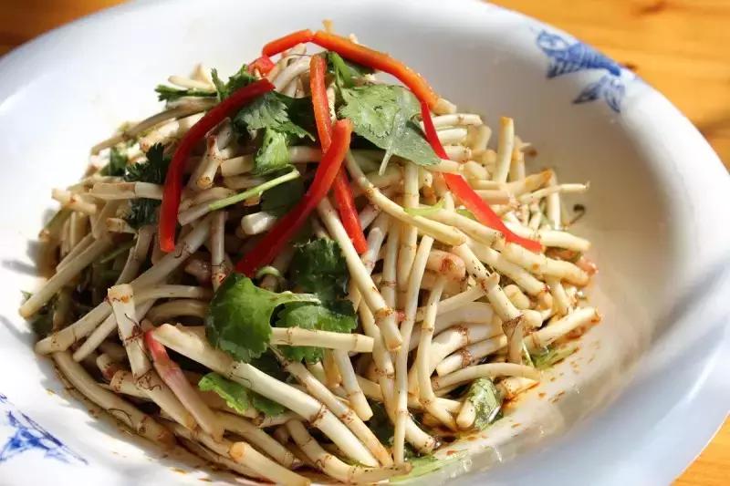 聊一聊这两味春季最常见的药草