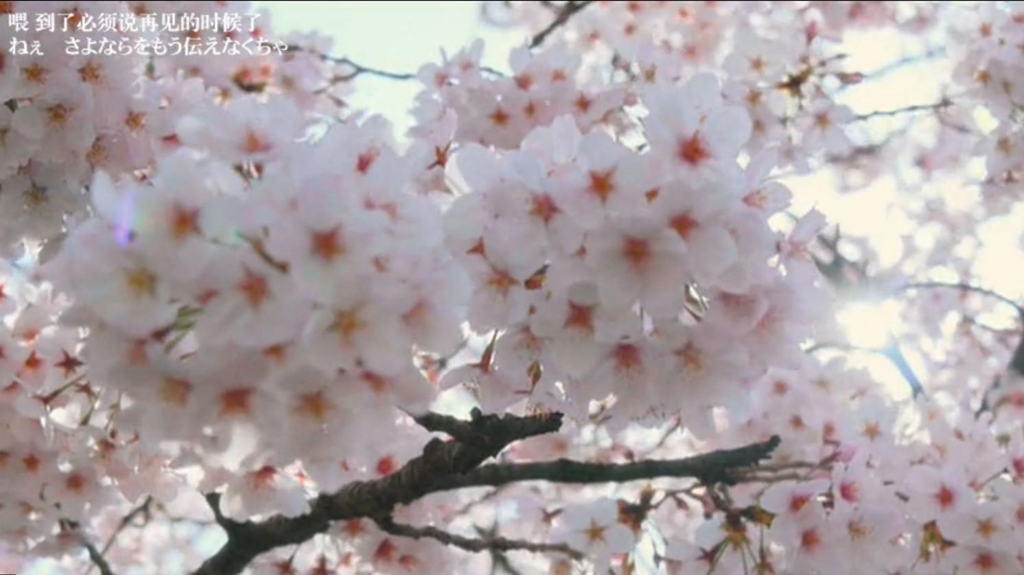 此生无悔入四月，来生愿作友人A