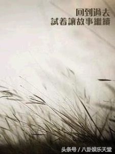 周杰伦十大情歌排行榜,周杰伦公认十首最好听的情歌