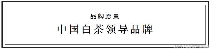 福鼎白茶品品香好喝吗,福鼎白茶品品香