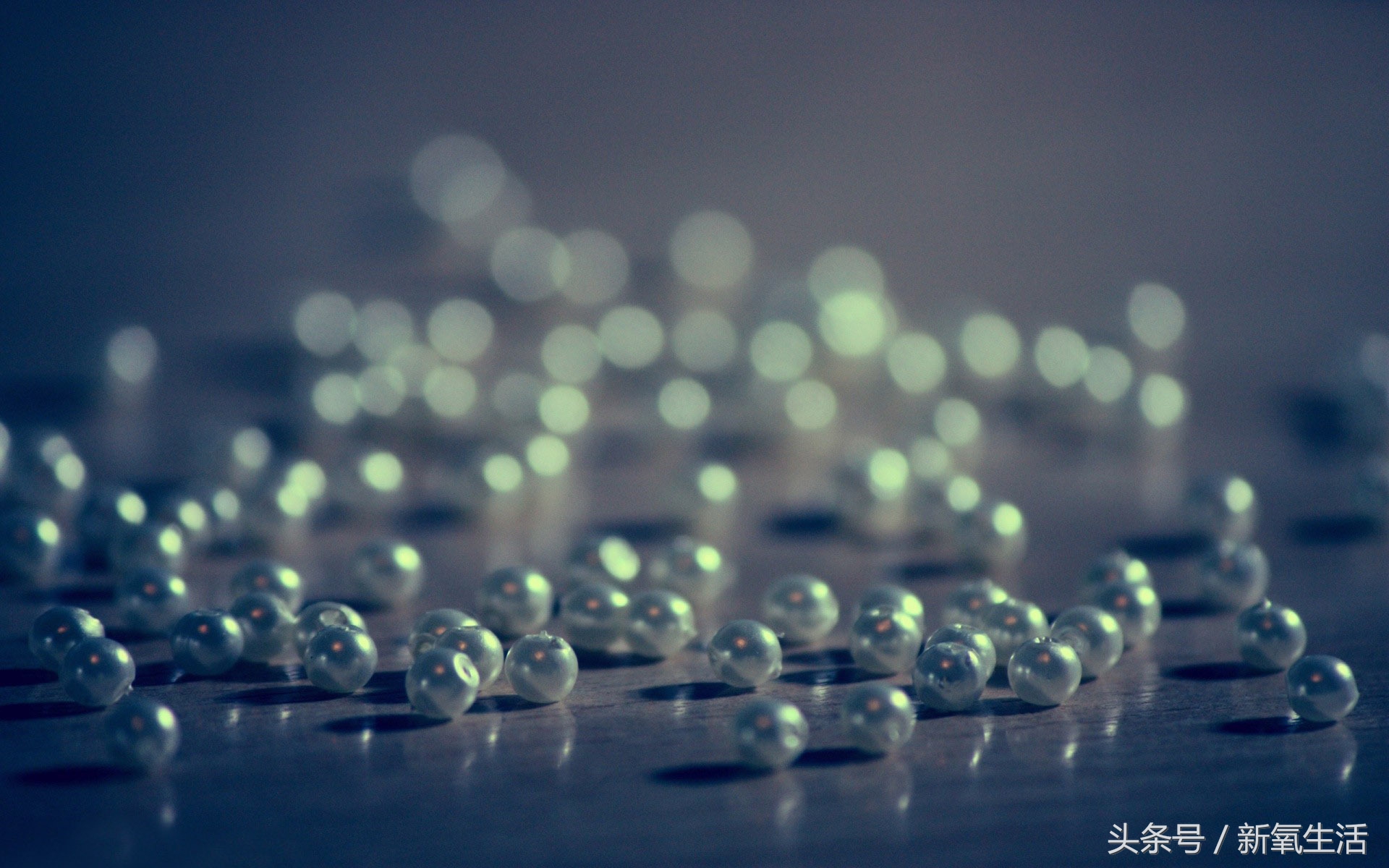 真正的野生珍珠切开什么样,为什么野生的珍珠比较值钱