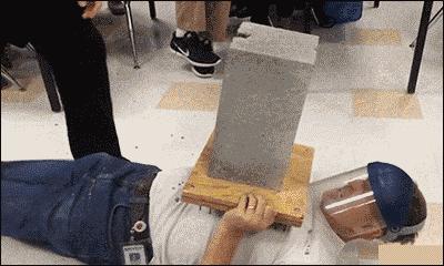 泰迪怎么会喜欢你,泰迪怎么让它信任你