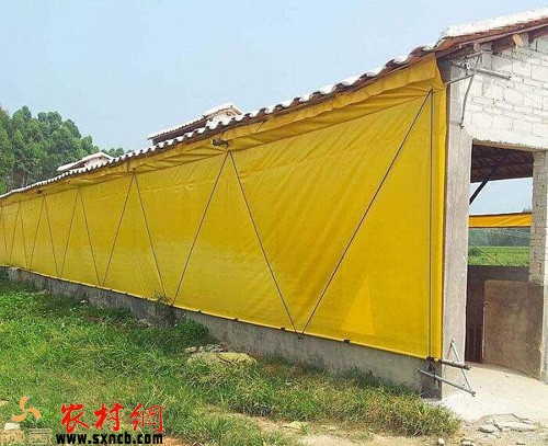 农村这三个创业项目为时不晚！