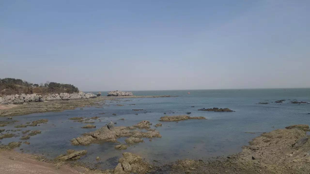 大连好玩的地方滨海路,大连东北路有什么好玩的