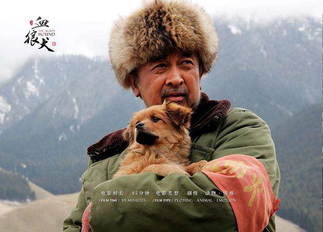 老陈看的电影解说,老陈看