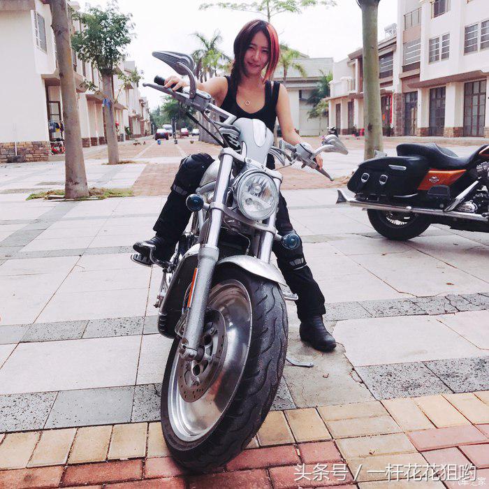 摩旅女骑士娜娜,五指山雅马哈女骑士