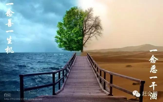 一方一净土一笑一尘缘一念一清净,一方一净土一叶一菩提