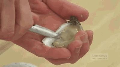 法国生蚝种类有哪些,丹麦生蚝的正确打开方法